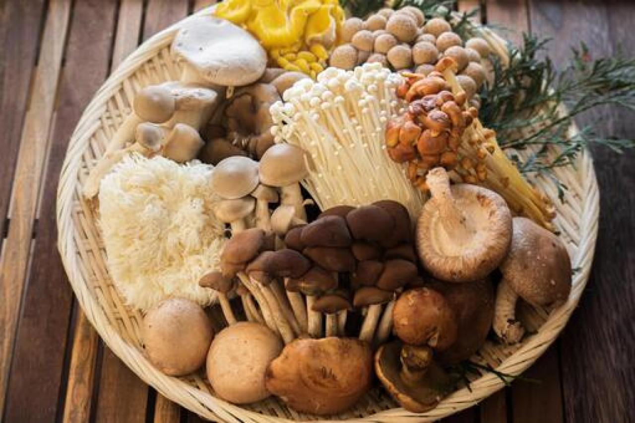 キノコの驚きの効果 その1